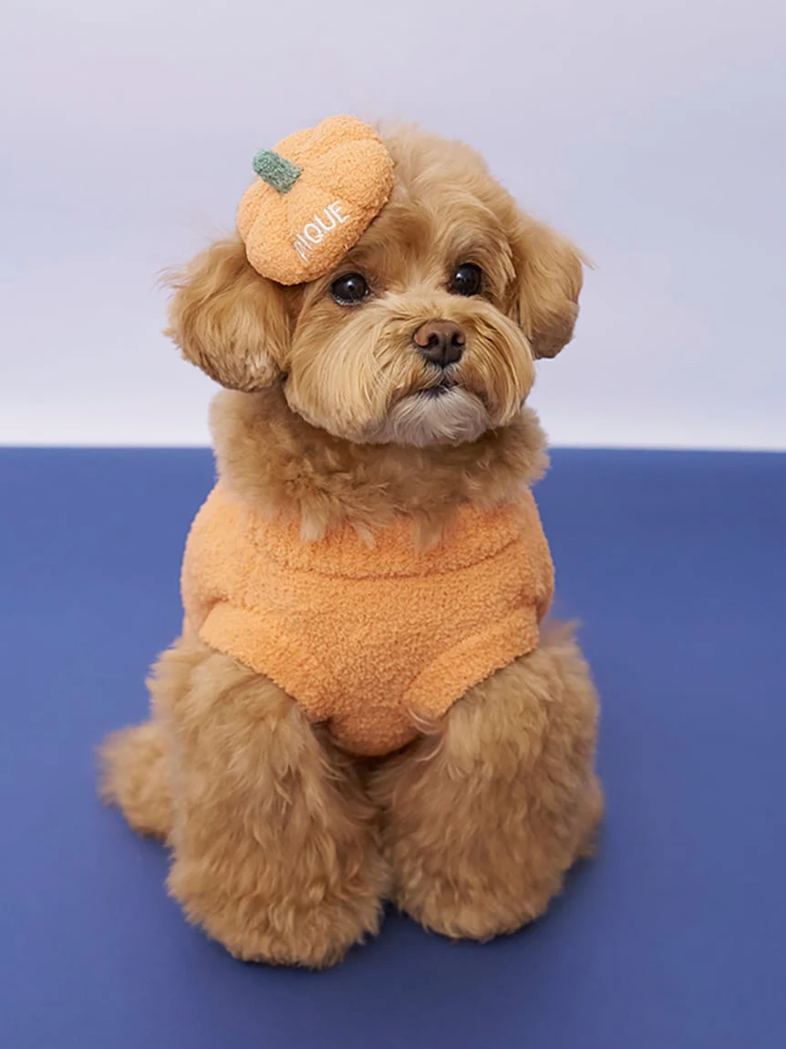 【HALLOWEEN】【CAT&DOG】南瓜套頭上衣 PAGG264720