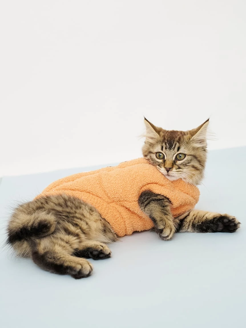 【HALLOWEEN】【CAT&DOG】南瓜套頭上衣 PAGG264720