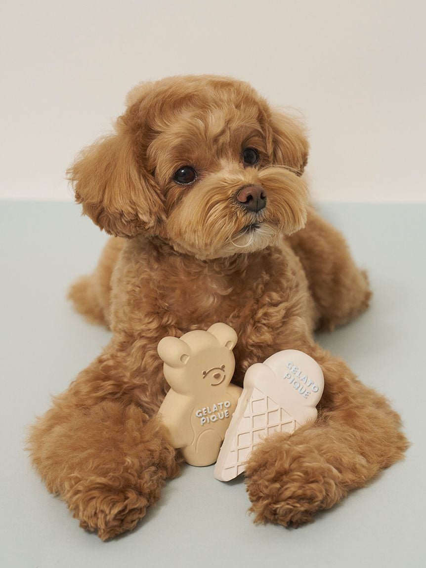 【CAT&DOG】冰淇淋&小熊乳膠玩具SET（附BOX） PAGG999138
