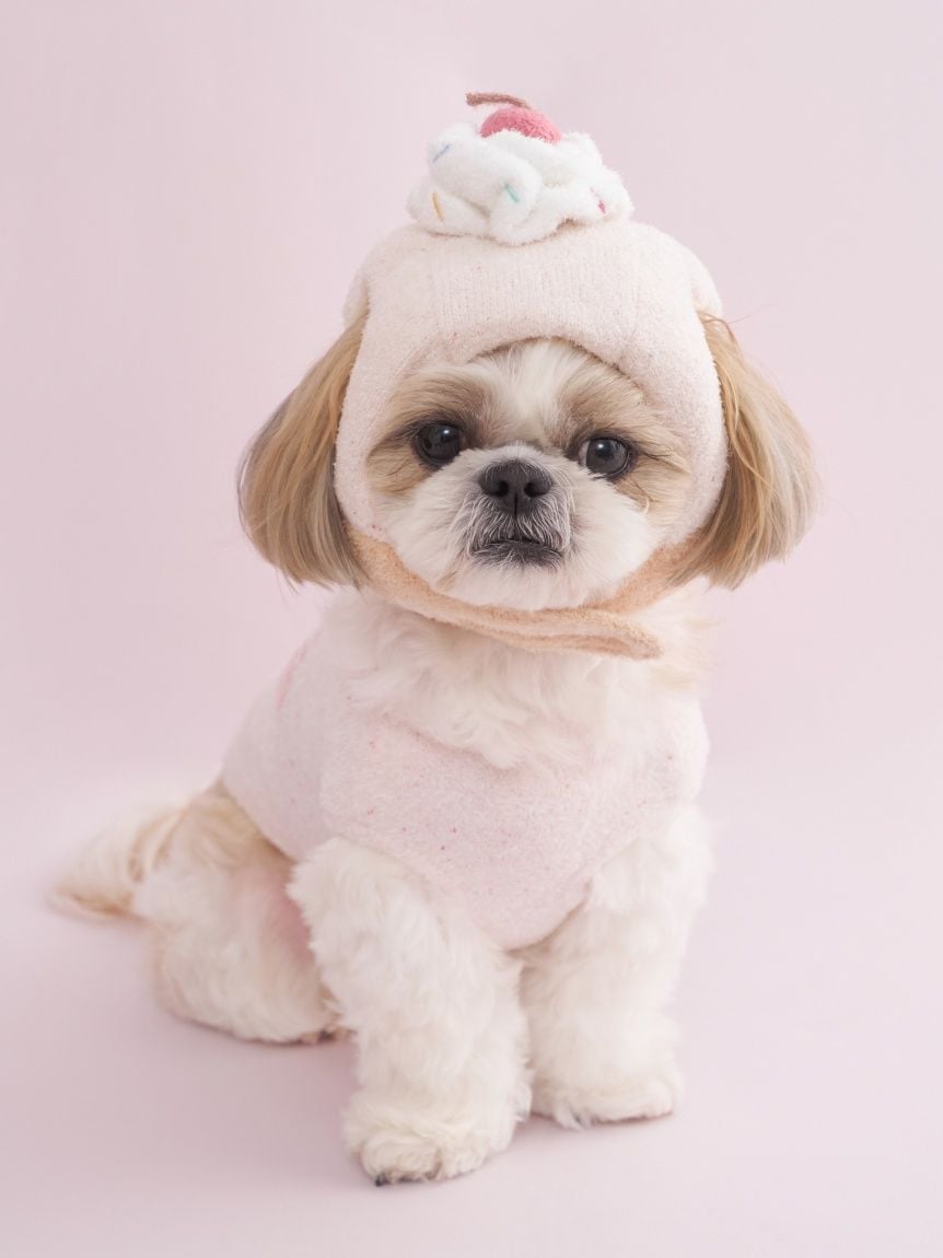 【CAT&DOG】【Birthday】杯子蛋糕造型帽 PAGH259136