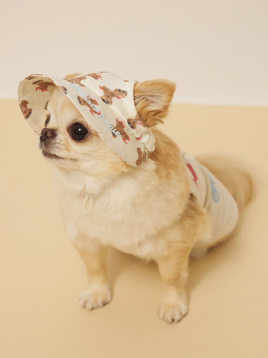 【CAT&DOG】夏日小熊印花帽子 PAGH262583