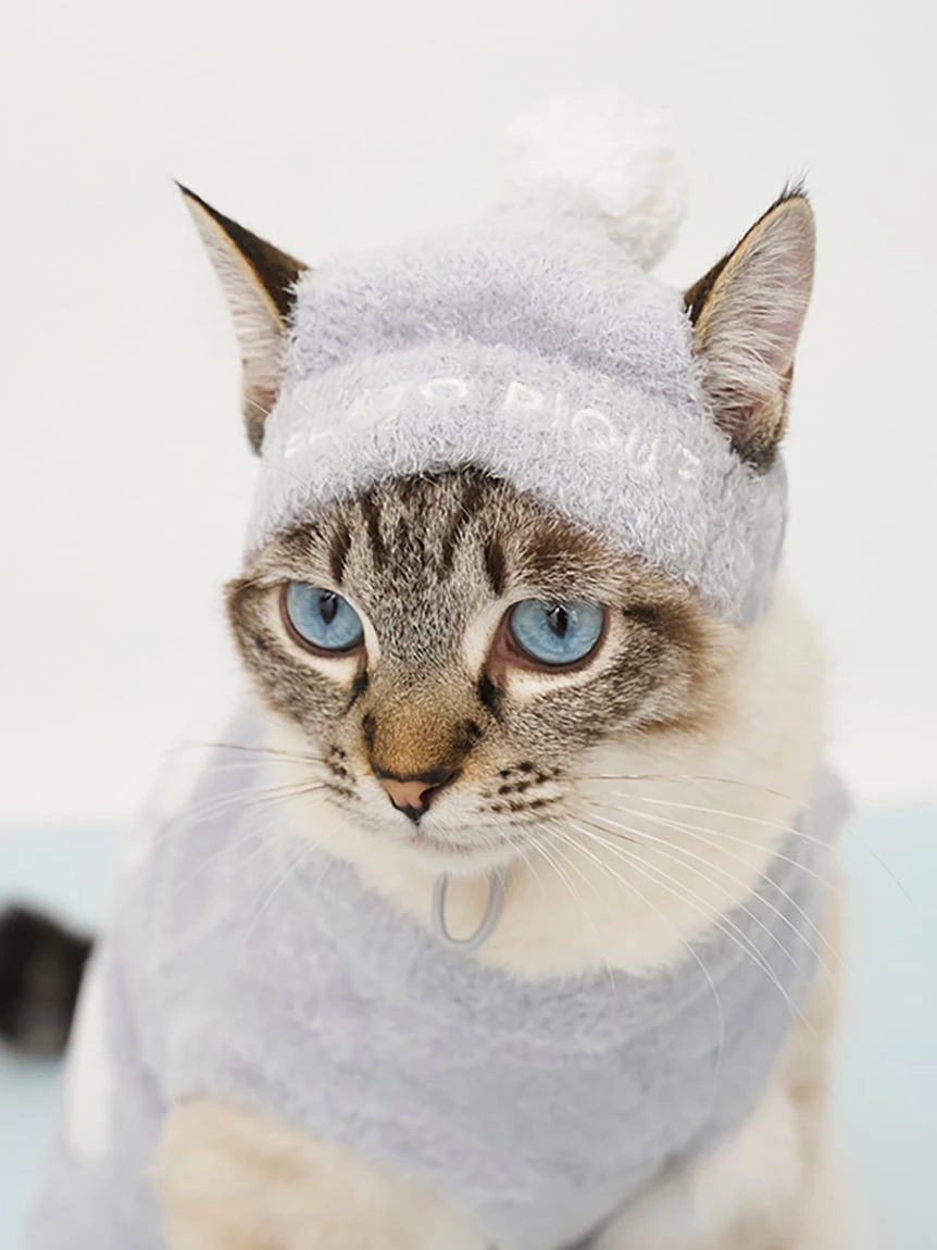 【CAT&DOG】SMOOTHIE毛帽 PAGH264706