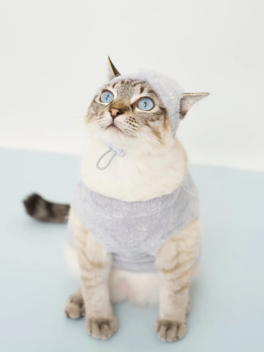 【CAT&DOG】SMOOTHIE毛帽 PAGH264706