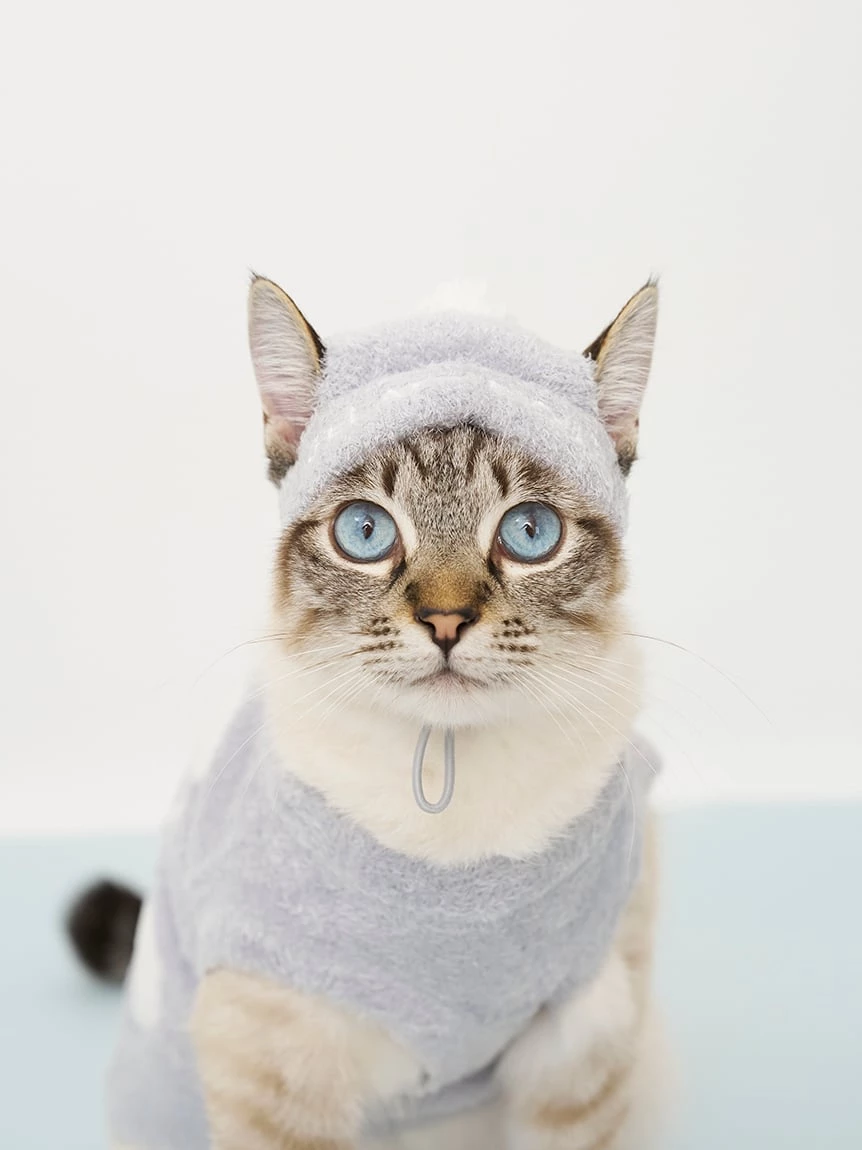 【CAT&DOG】SMOOTHIE毛帽 PAGH264706