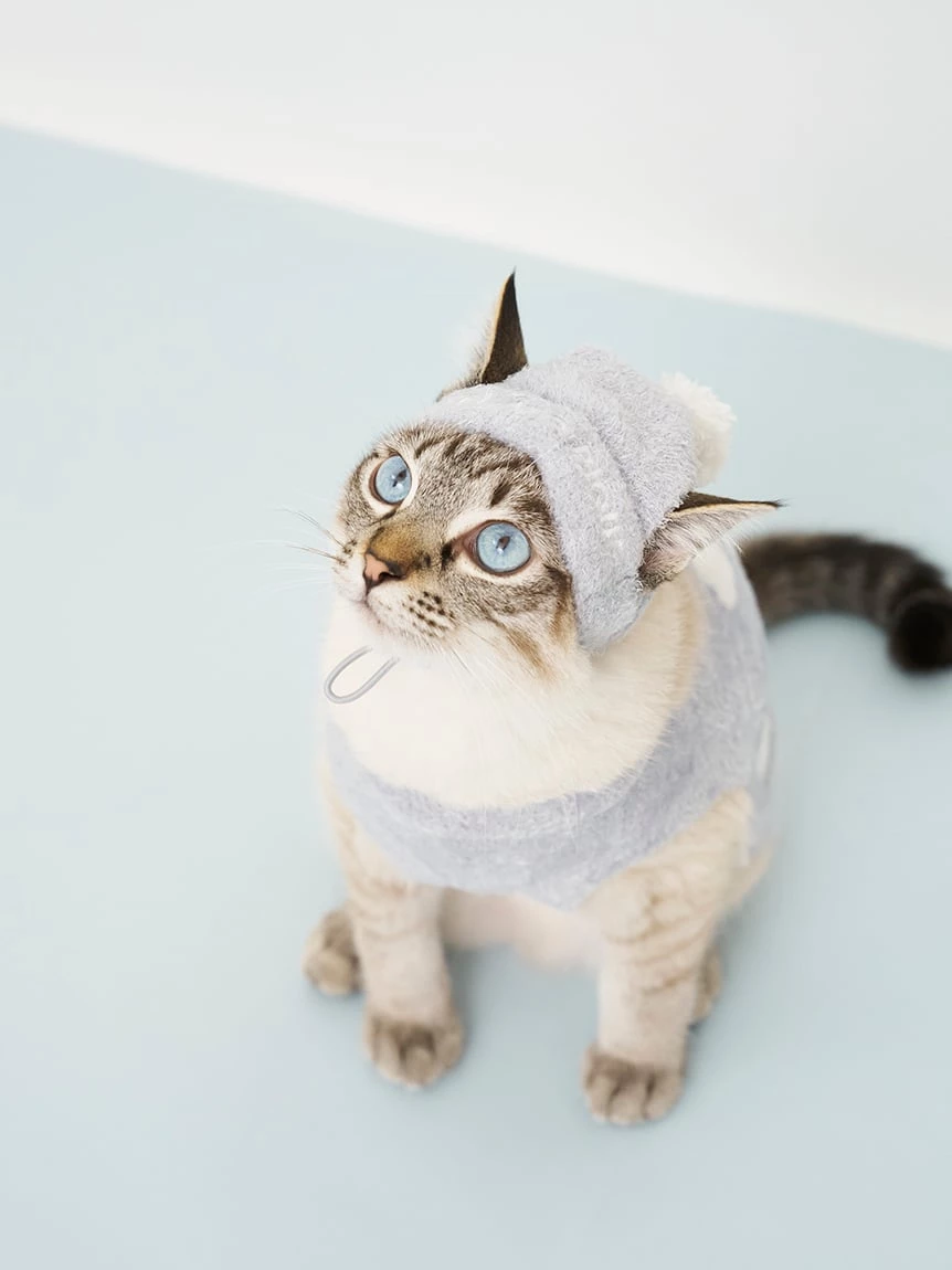 【CAT&DOG】SMOOTHIE毛帽 PAGH264706