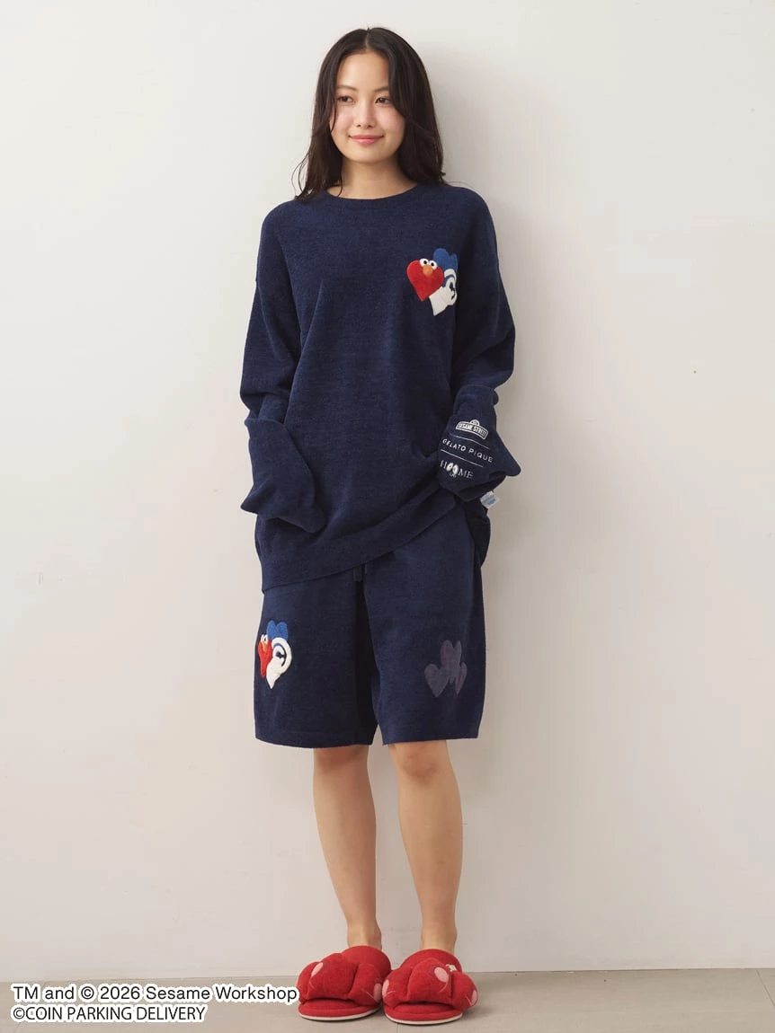 【SESAME STREET芝麻街×CPD 】HOMME AIRY MOCO單圖上衣 PMNT264087