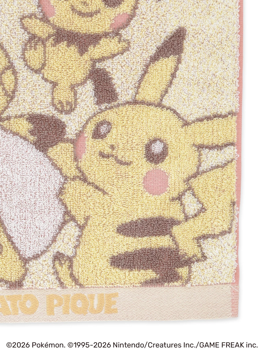 【Pokémon】手帕 PWGG264503