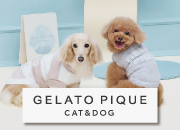gelato pique CAT&DOG